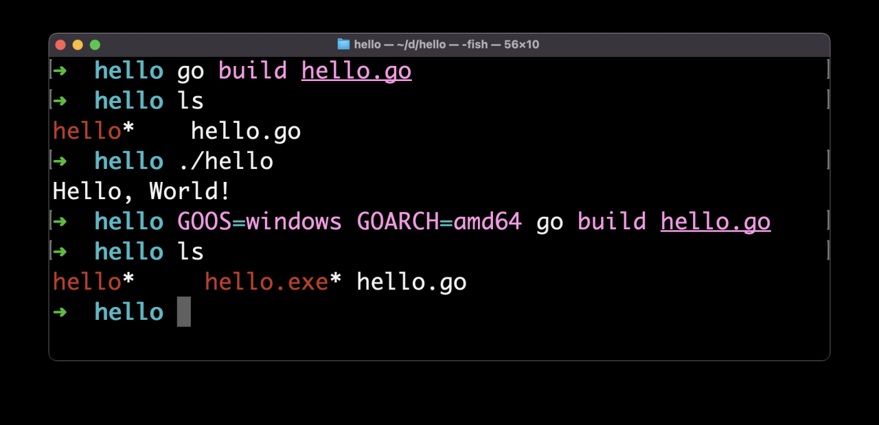 How to compile and run a Go program How to compile and run a Go program