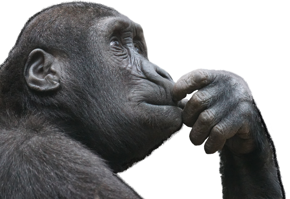 Thousands of flies landed on an oil rig in the North Sea. Scientists ... Thousands of flies landed on an oil rig in the North Sea. Scientists ...