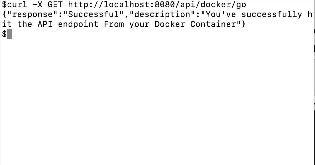 Containerizing Go Apps With Docker Containerizing Go Apps With Docker